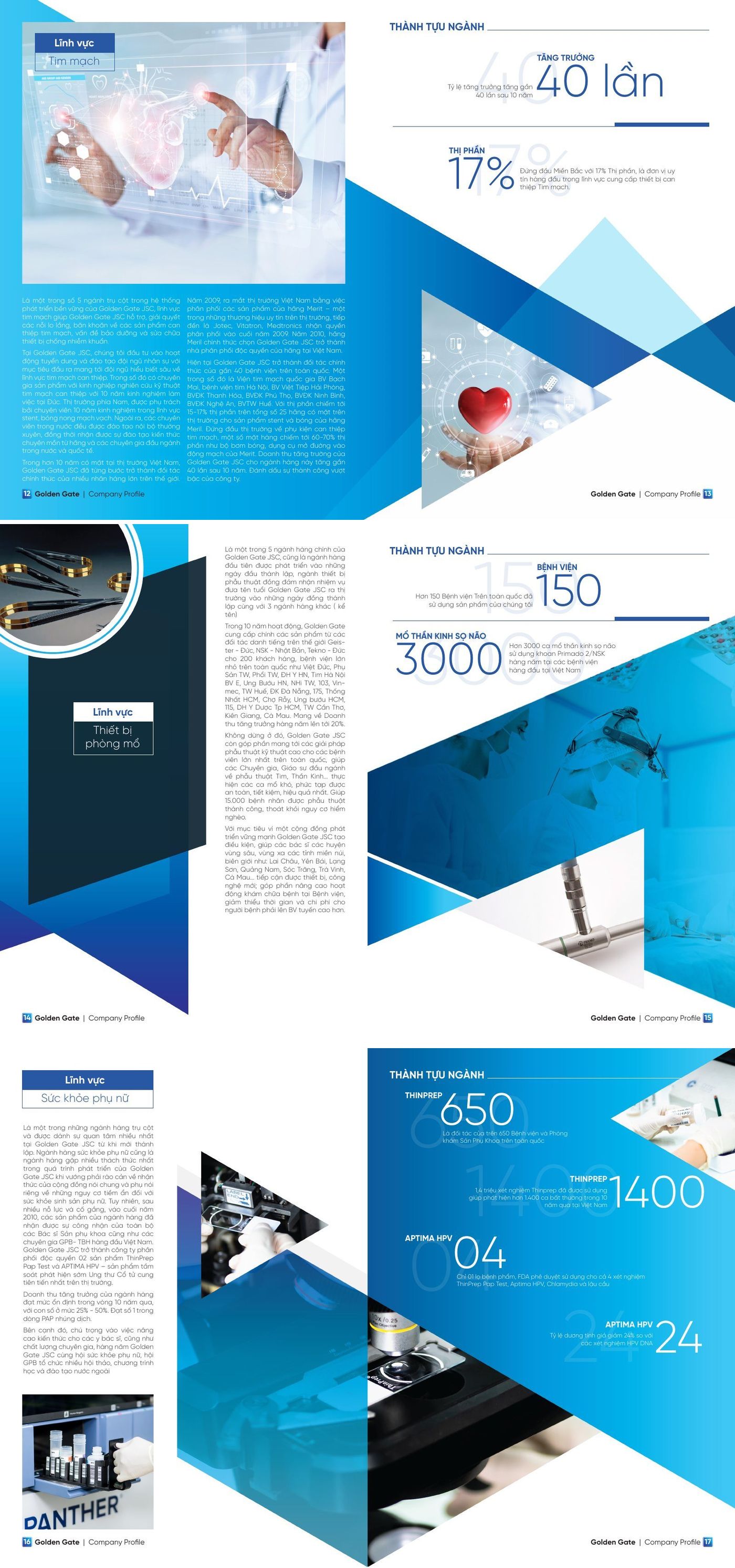 Golden Gate – Company profile – 03